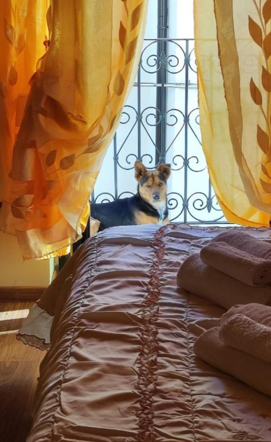 La Casetta Della Nonna Caramanico Terme Luaran gambar